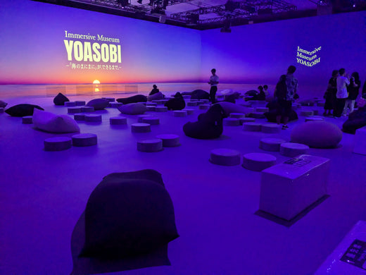 Immersive Museum TOKYO