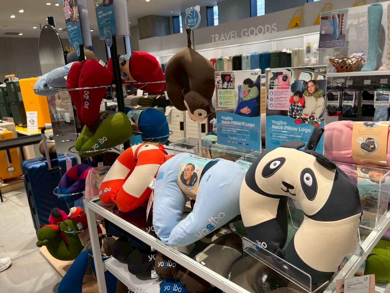 銀座ロフト導入