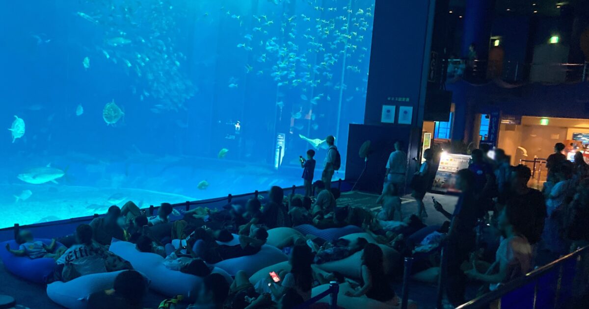 沖縄美ら海水族館「美ら海ナイトアクアリウム」