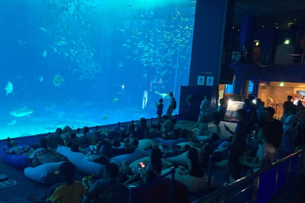 沖縄美ら海水族館「美ら海ナイトアクアリウム」