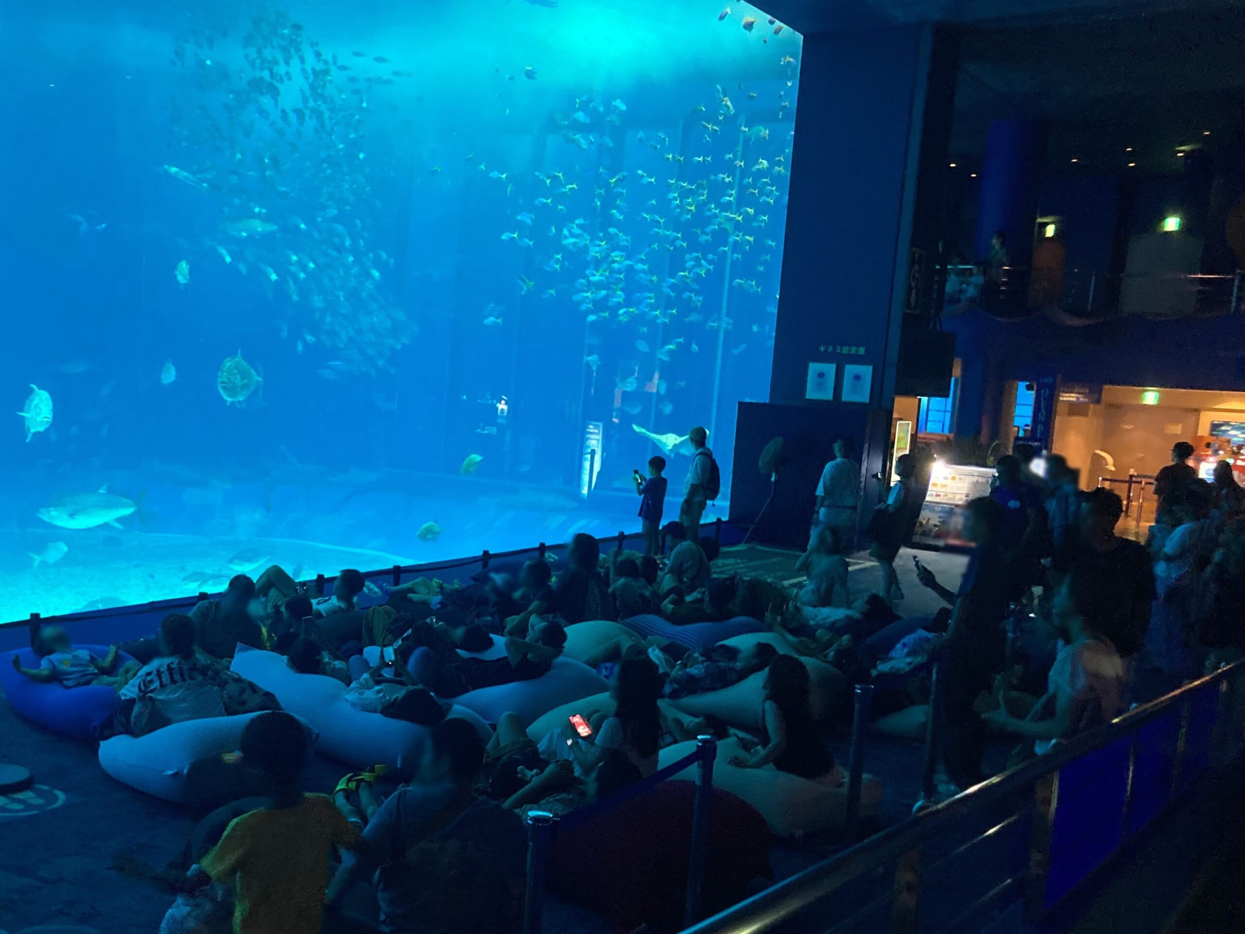 夜の海に包まれる、ひととき。沖縄美ら海水族館「ナイトアクアリウム