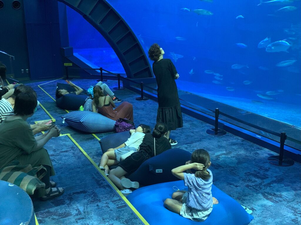 沖縄美ら海水族館「美ら海ナイトアクアリウム」