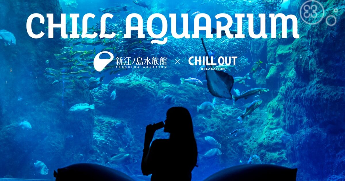 新江ノ島水族館 様「CHILL AQUARIUM」