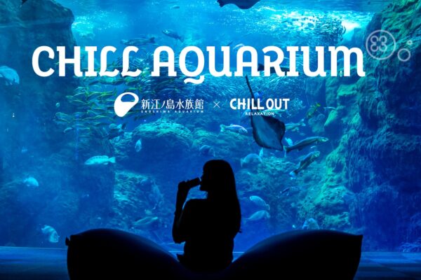新江ノ島水族館 様「CHILL AQUARIUM」