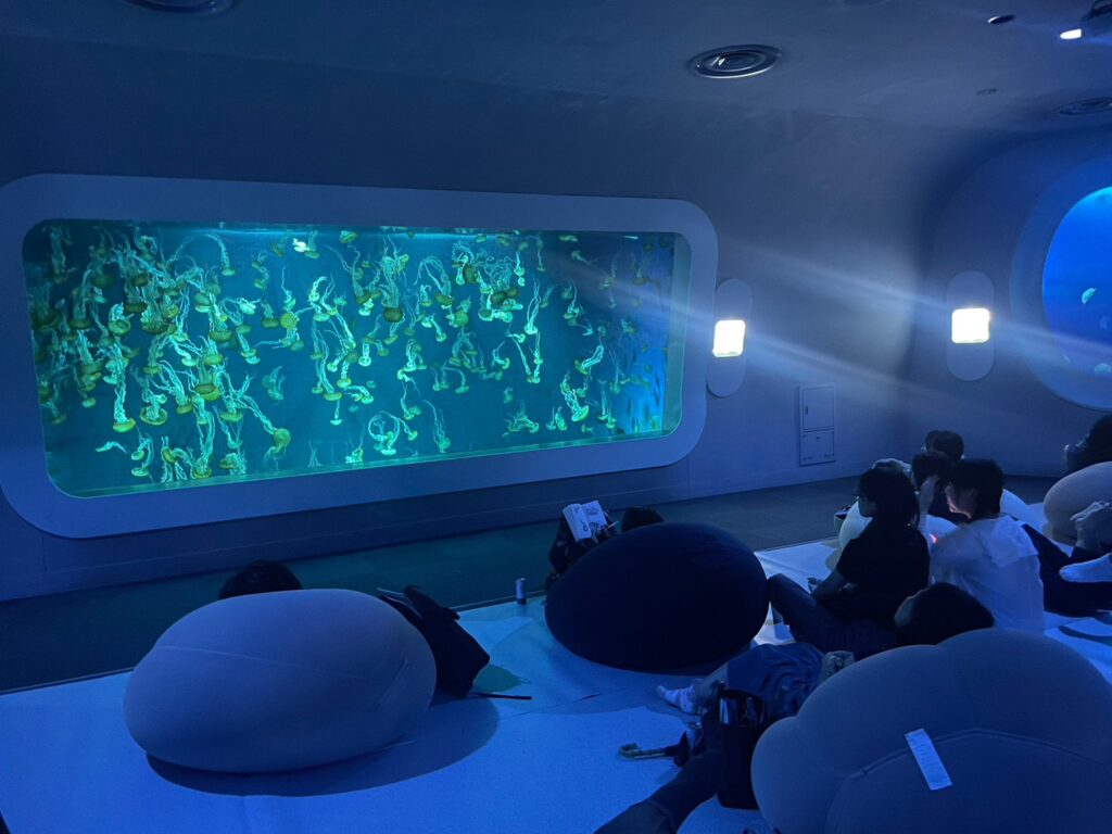新江ノ島水族館 様「CHILL AQUARIUM」