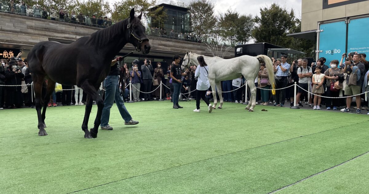 「人と馬をつなぐ」特別イベント
