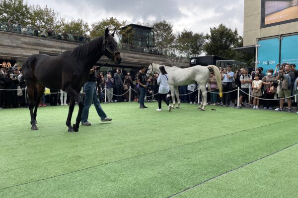 「人と馬をつなぐ」特別イベント