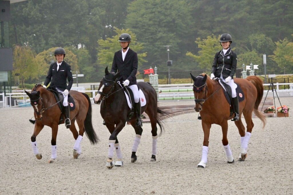 Tokyo Equestrian Festival