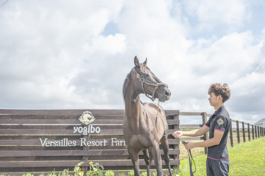 yogiboローズキングダム取材記事