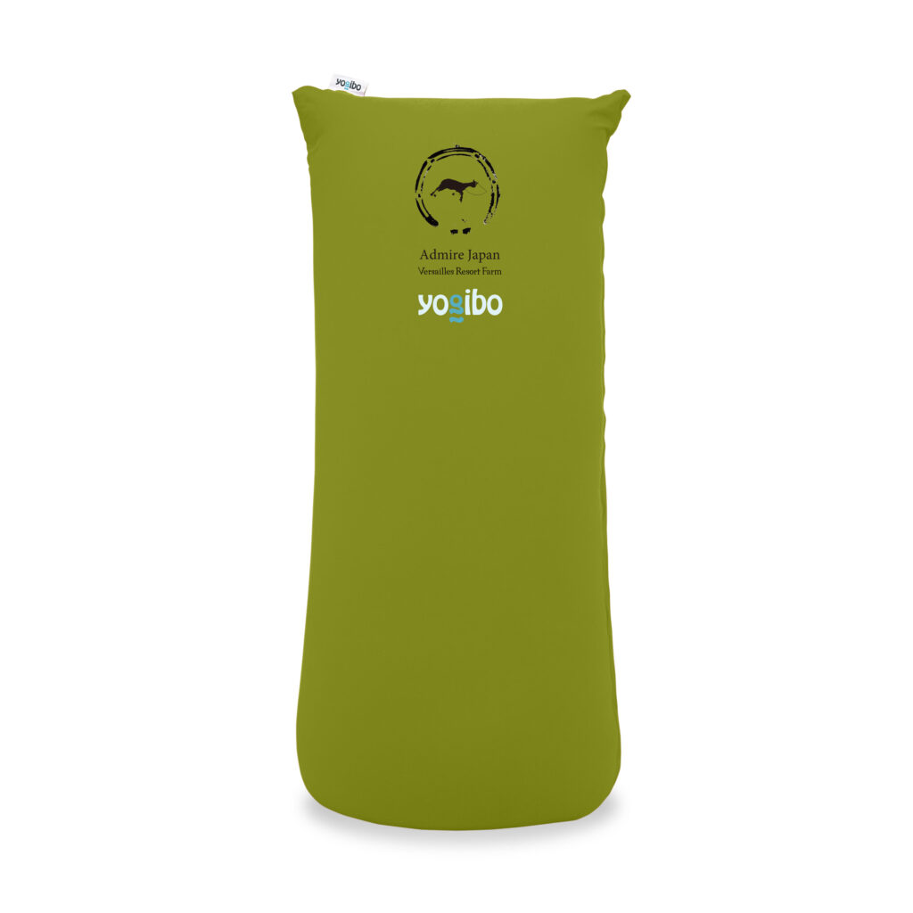 アドマイヤジャパン