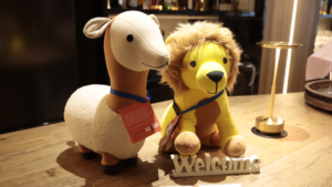 Yogiboの「人を育てる」研修制度